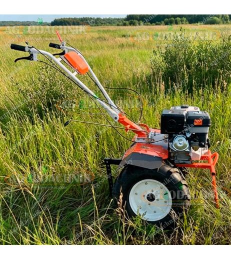 Мотоблок Profi-motors 190-18P