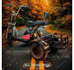 Электрический трицикл Shtenli Model 104