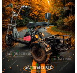 Электрический трицикл Shtenli Model 104
