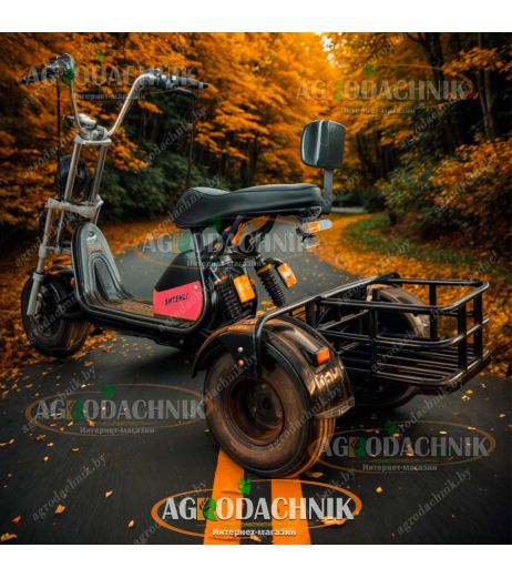 Электрический трицикл Shtenli Model 104