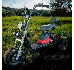 Электрический трицикл Shtenli Model 104