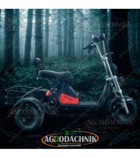 Электрический трицикл Shtenli Model 104