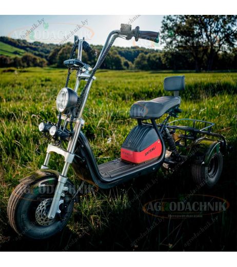 Электрический трицикл Shtenli Model 104