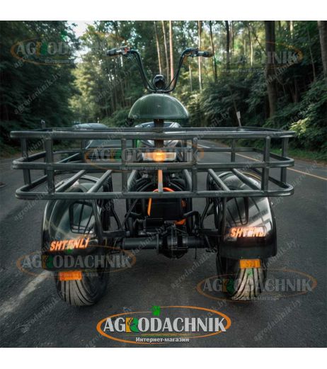 Электрический трицикл Shtenli Model 108
