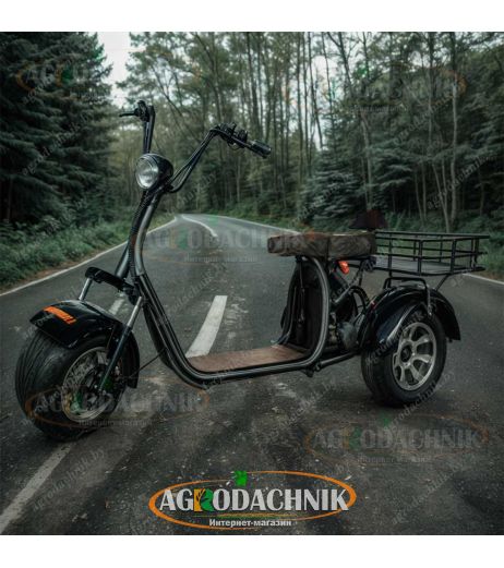 Электрический трицикл Shtenli Model 108