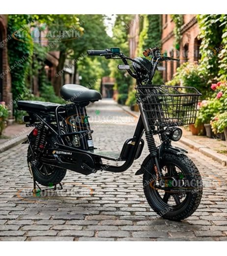 Электровелосипед Shtenli Monster V12/TR55