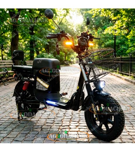 Электровелосипед Shtenli Monster V12/TR55