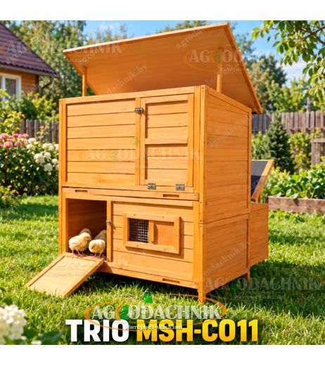 Деревянный курятник TRIO