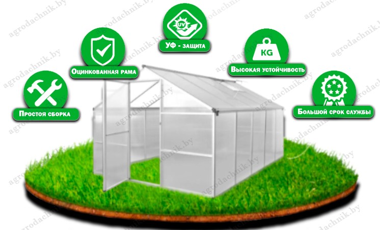 Агроном теплица 5.5м - сборка, оцинкованный каркас, УФ-защита, устойчивость