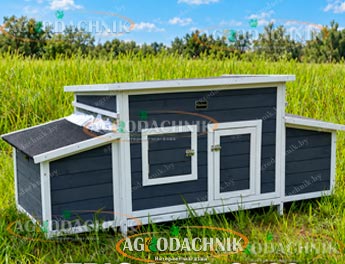 Деревянный курятник TRIO MSH-C066