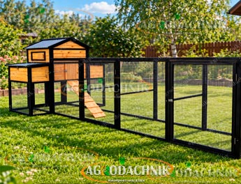 Деревянный курятник TRIO MSH-C1054L