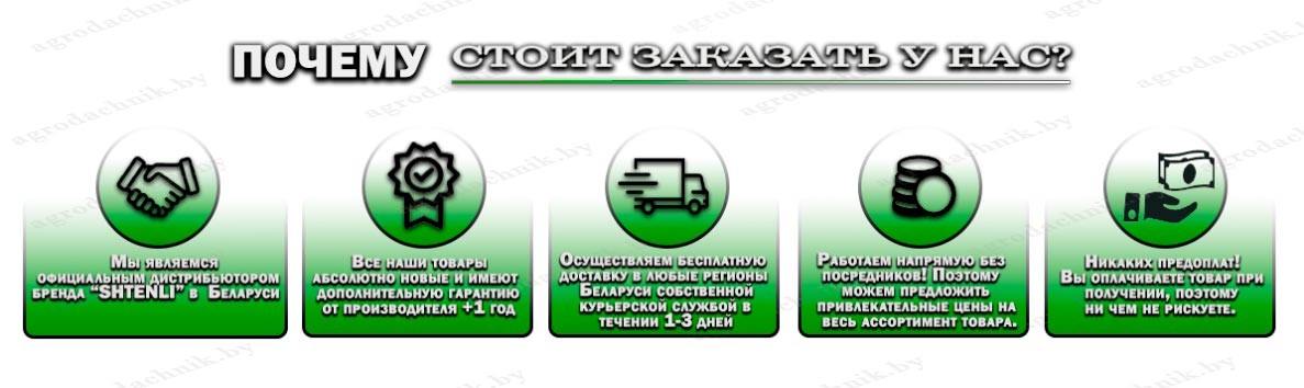 Безопасная покупка двигателя Shtenli в Agrodachnik - бесплатная доставка и оплата по факту